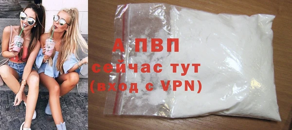 амф Вуктыл
