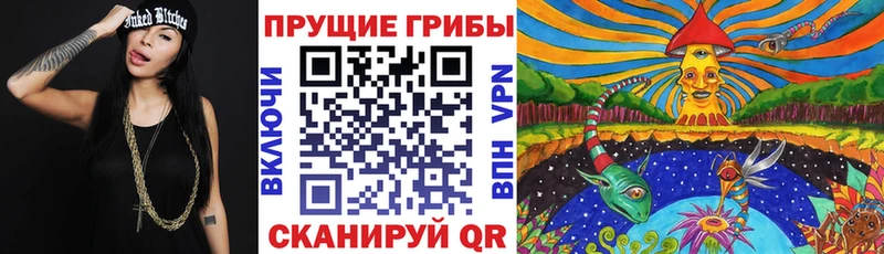 Псилоцибиновые грибы мухоморы  Зубцов 